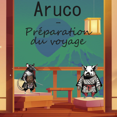 #18 Aruco - préparation du voyage