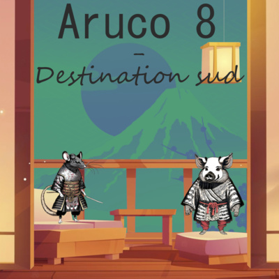 Aruco 8 - Destination sud