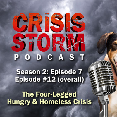4-legged Crisis: Hunger And Homelessness Dilemma - Crisis Storm Ep.12