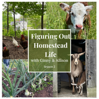Homestead In Alaska? 
