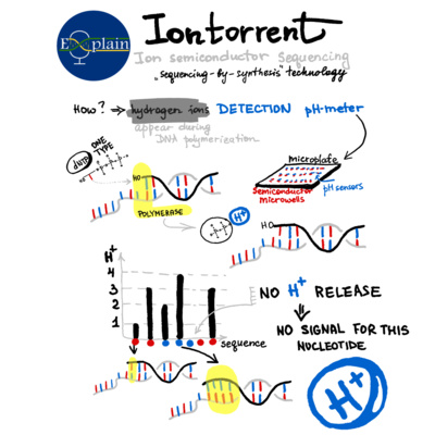 E4: Ion Torrent Sequencing