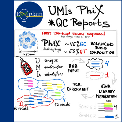 Special: PhiX / UMIs / QC