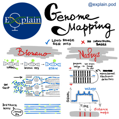 E10: Genome Mapping