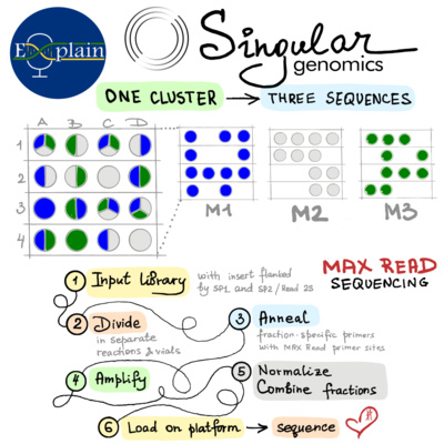 E15: Singular Genomics | ATAC-seq