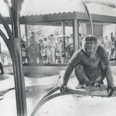 Toronto Zoo