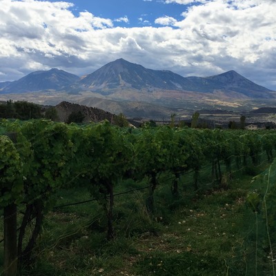 Colorado: Wine Enthusiast Top 10 Wine Getaways