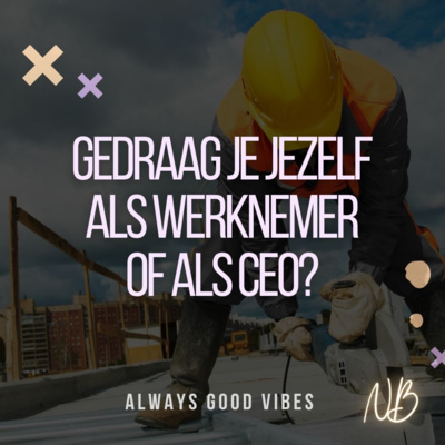 EP 69 - Aan of in je bedrijf? Gewoon strategie denk ik!