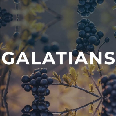 FBC English Service November 30 2025