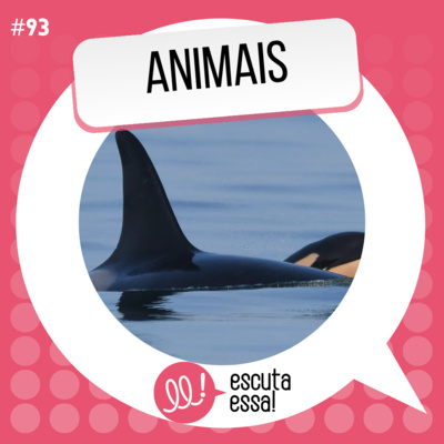 Animais