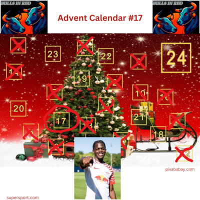 #17 Bulls In Red Advent Calendar 2024