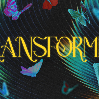 Transformed | Diana Crysler