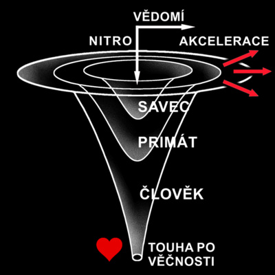 8) Argumenty pro prenatální život Adama