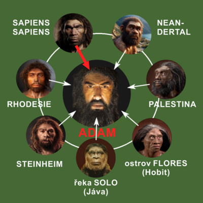 15) Kauza Neandertálec II.