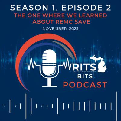 1.2 The One Where We Learned About REMC Save