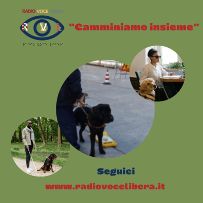 Camminando insieme - La legge di libero accesso ai cani guida e gli alberghi