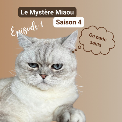 S04-01 : comment fonctionne le saut du chat ?