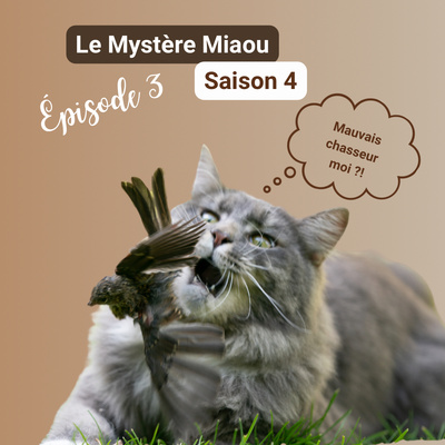 S04-03 : le chat est-il vraiment un mauvais chasseur ?