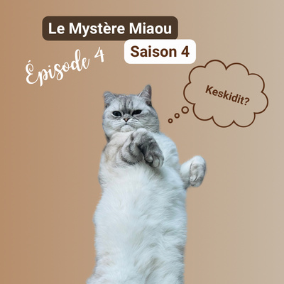 S04-04 : parler à son chat : bonne ou mauvaise idée et qu’en comprend-il ?