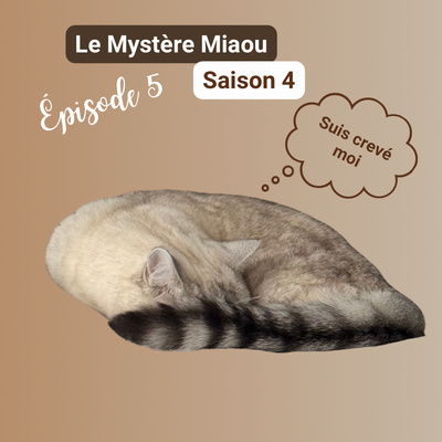 S04-05 : en quoi les chats peuvent-ils améliorer notre santé mentale ?
