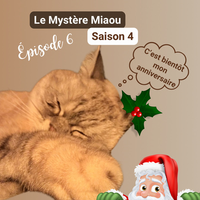 S04-06 : comment passer Noël avec son chat en évitant les problèmes ?