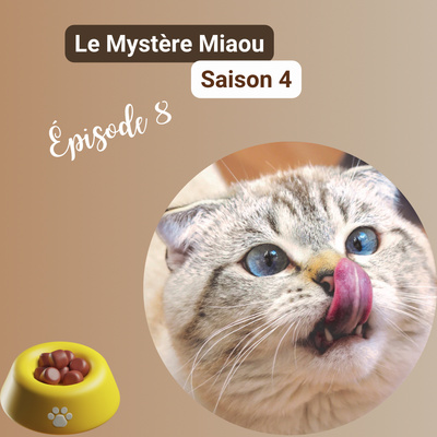 S04-08 : Pourquoi le chat mange-t-il en petites quantités toute la journée ?