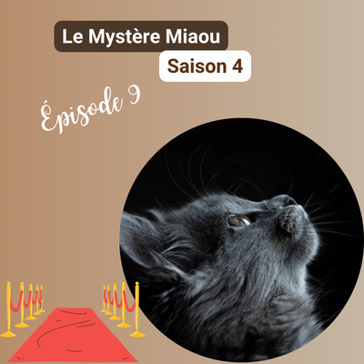 S04-09 : Pourquoi les chats sont-ils les stars d’Internet ?