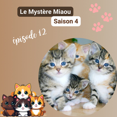 S04-12 : Combien existe-t-il de chats et aussi de races reconnues dans le monde ?