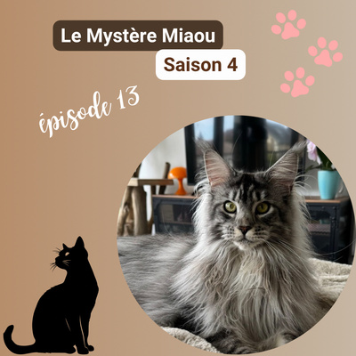 S04-13 : Petsitter : comment gérer l’attachement et le départ des chats gardés ?
