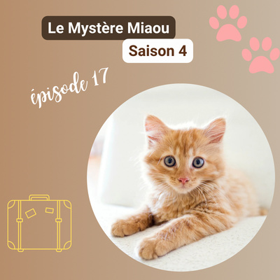 S4-17 : Petsitting : pourquoi confier son chat à un professionnel ?