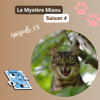 S4-18 : Comportementaliste félin : pourquoi faire appel à ce professionnel du chat ?