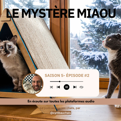 S5-4 : Les ressources du chat : clé du bien-être et d’une cohabitation sereine