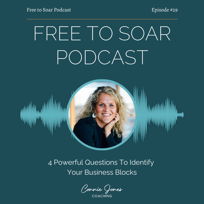 Episode 29 - 4 Powerful Questions To Identify Your Business Blocks with