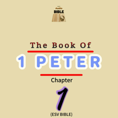 1 PETER NIV AUDIO BIBLE visual data 2