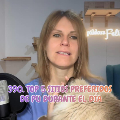 390. TOP 5 sitios preferidos de Pu durante el día by La Píldora Felina