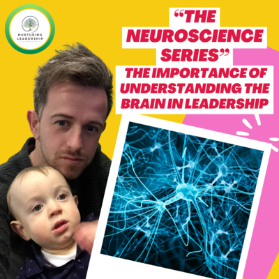 The Neuroscience Series: The Importance of Understanding The Brain In Leadership