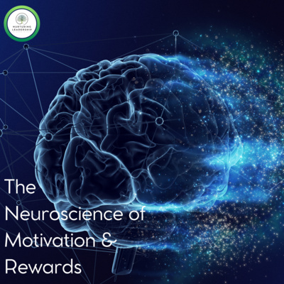NeuroLeadership: Rewards, Motivation & Workplace Magic! 🧠✨ - The Neuroscience Series