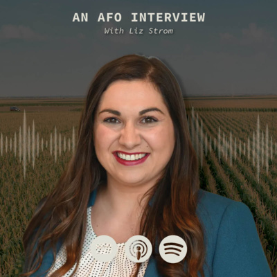 Land Broker Liz Strom: Illinois Farmland Values Stabilizing