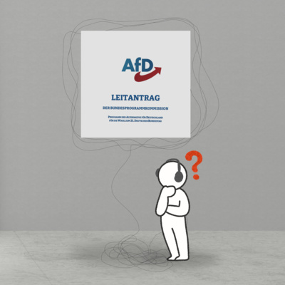 Wahlprogramme 2025 - AfD