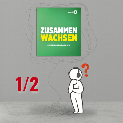 Wahlprogramme 2025 - Grüne (Kurzversion)