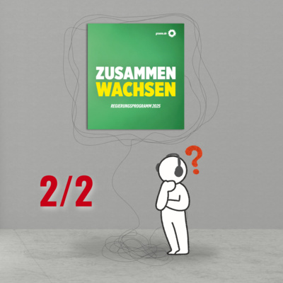 Wahlprogramme 2025 - Grüne