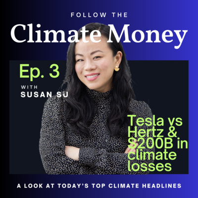 Climate Money Ep. 3: The narrative miss on $200B in climate losses + deep dive on Tesla’s Hertz problem with mobility expert Olaf Sakkers