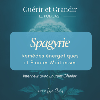 Spagyrie : Remèdes énergétiques et Plantes Maîtresses - Interview avec Laurent Gheller