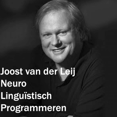 NLP met Joost van der Leij