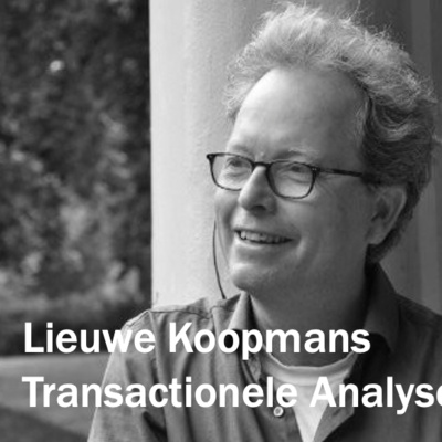 Transactionele Analyse met Lieuwe Koopmans