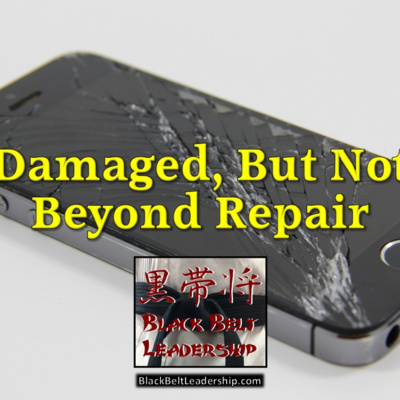 Damaged, But Not Beyond Repair