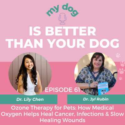 Ozone Therapy for Pets: How Medical Oxygen Helps Heal Cancer, Infections & Slow Healing Wounds w/ Dr. Jyl Rubin