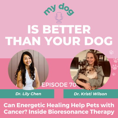 Can Energetic Healing Help Pets with Cancer? Inside Bioresonance Therapy w/ Dr. Kristi Wilson