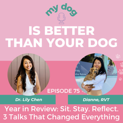 Year in Review: Sit. Stay. Reflect: 3 Talks That Changed Everything