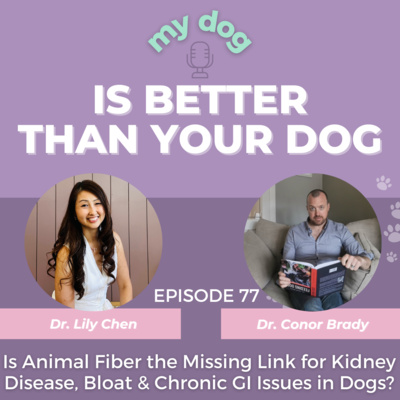 Is Animal Fiber the Missing Link for Kidney Disease, Bloat & Chronic GI Issues in Dogs? w/ Dr. Conor Brady
