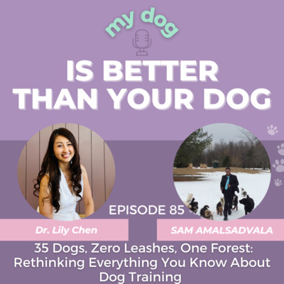 35 Dogs, Zero Leashes, One Forest: Rethinking Everything You Know About Dog Training with Sam Amalsadvala